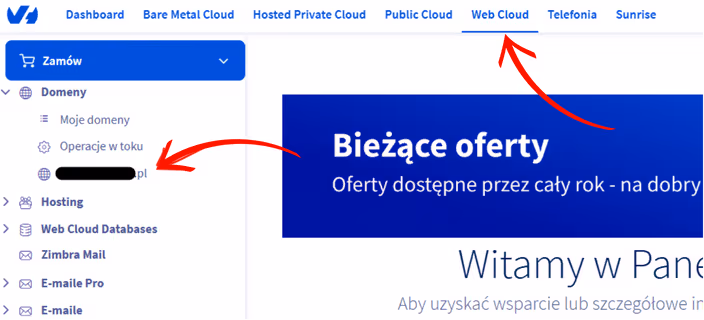 Transfer domeny z OVH - wybór domeny