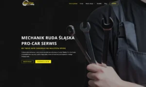 procar-serwis.pl